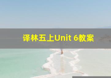 译林五上Unit 6教案